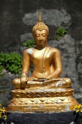 Similar image 8006963