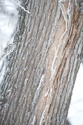 Similar image 8006969