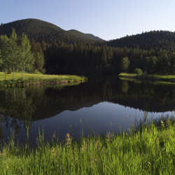 Similar image 8006970