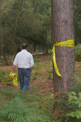 Similar image 8006976