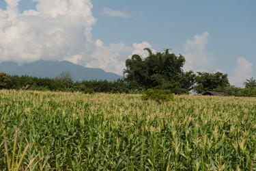 Similar image 8006982