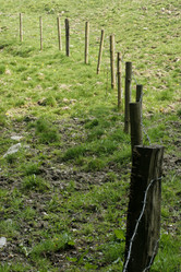 Similar image 8006985