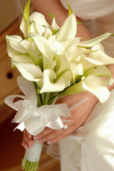 Similar image 8006987