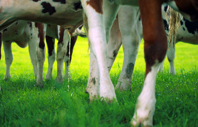 Similar image 8006990