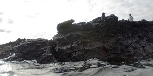 Similar image 8006995