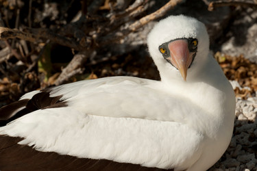 Similar image 8006997