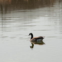 Similar image 8006998