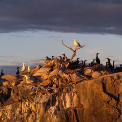 Similar image 8007013