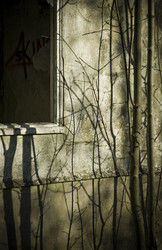 Similar image 8007029