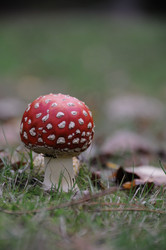 Similar image 8007035