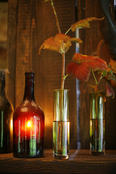 Similar image 8007056