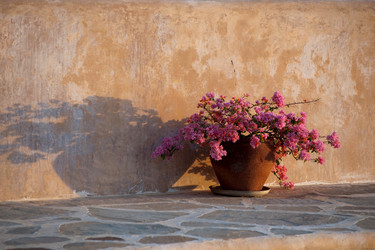 Similar image 8007071