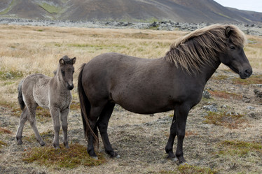 Similar image 8007072