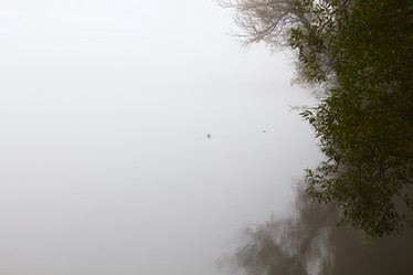 Similar image 8007277