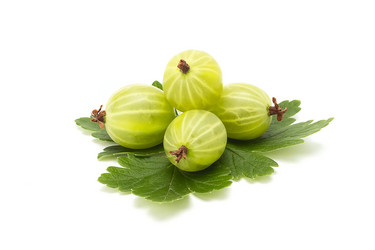 Similar image 8007285