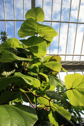 Similar image 8007334