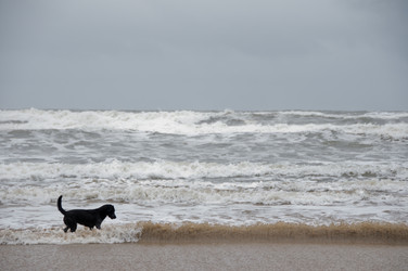 Similar image 8007335