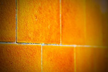 Similar image 8007374