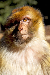 Similar image 8007394