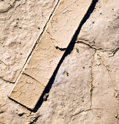 Similar image 8007405