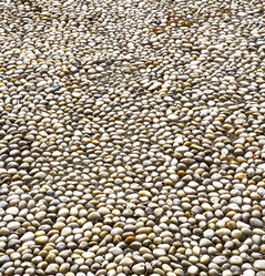 Similar image 8007407