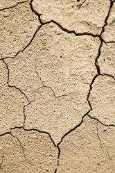 Similar image 8007419