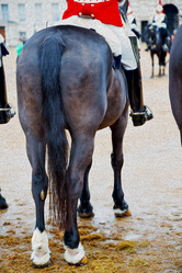 Similar image 8007421