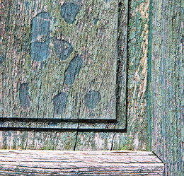 Similar image 8007487