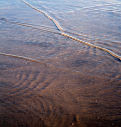 Similar image 8007499