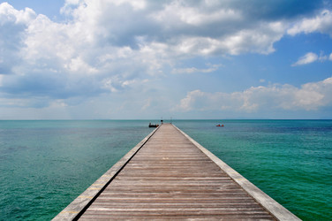 Similar image 8009123