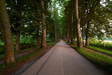 Similar image 8009202