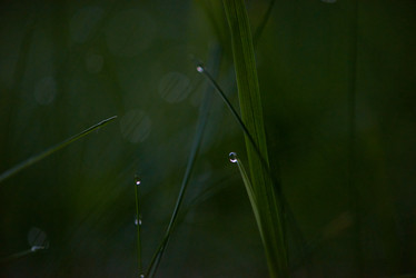 Similar image 8009205