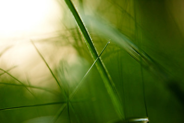 Similar image 8009220