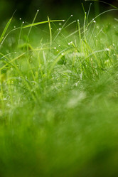 Similar image 8009222