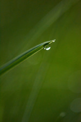 Similar image 8009229