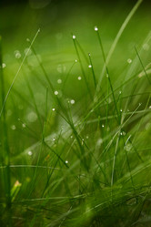 Similar image 8009237