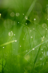 Similar image 8009240