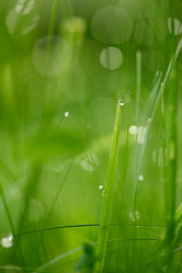 Similar image 8009241