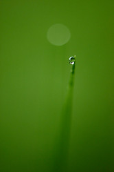 Similar image 8009251