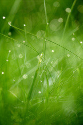 Similar image 8009255