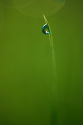 Similar image 8009258