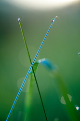 Similar image 8009261