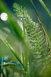 Similar image 8009282