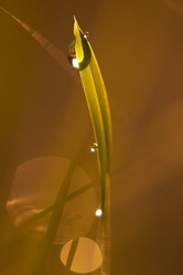 Similar image 8009296