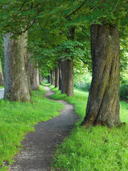 Similar image 8009297