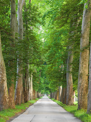 Similar image 8009309