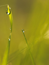 Similar image 8009324