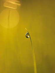 Similar image 8009328