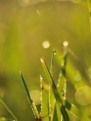 Similar image 8009335