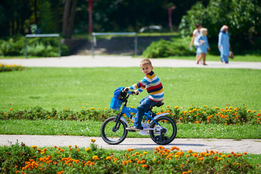 Similar image 8009350